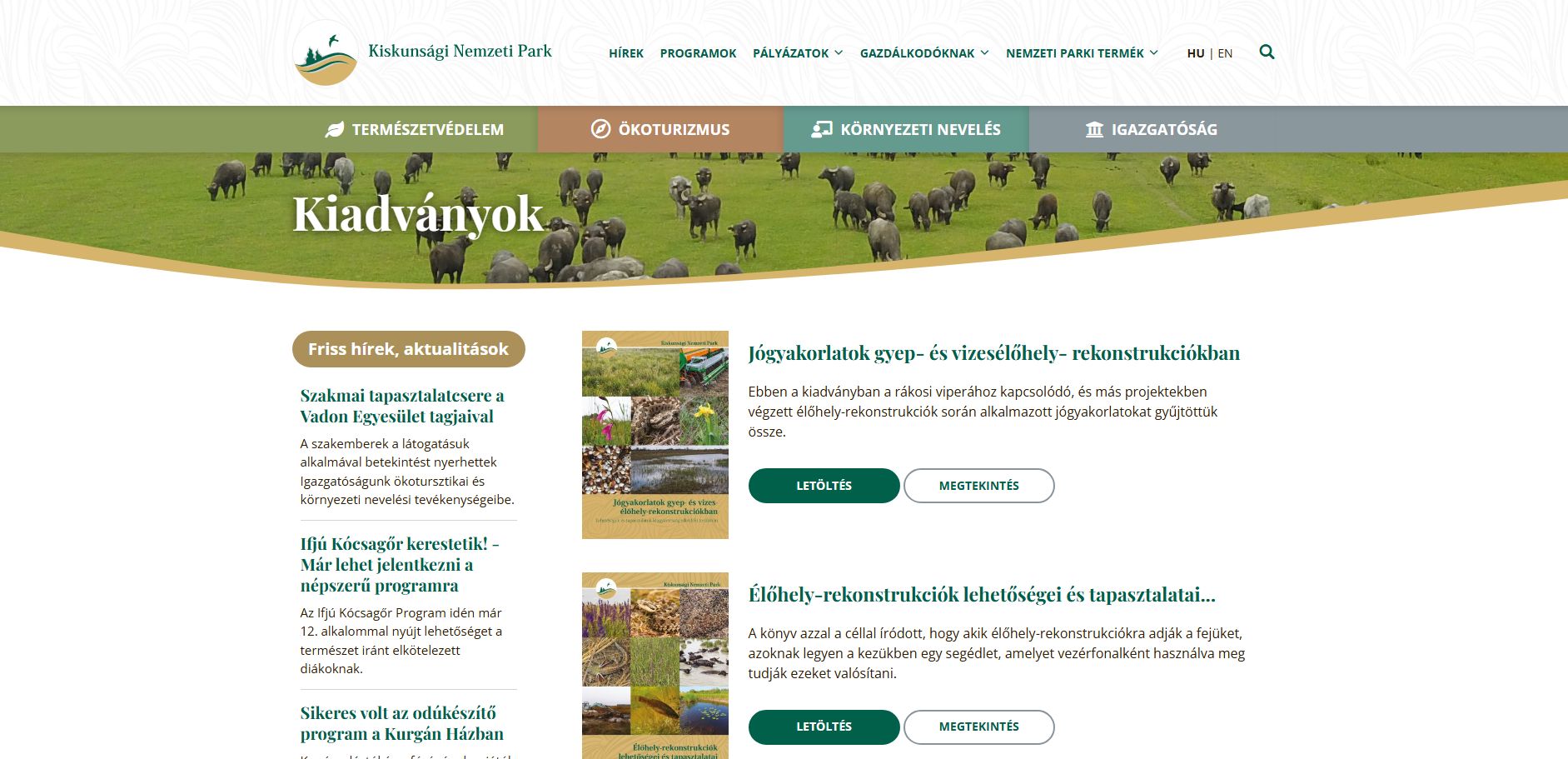 K�t v�z k�ze 2025.03.31.