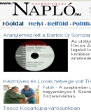 A h�l�zatos verzi� megnyit�sa Open the online version