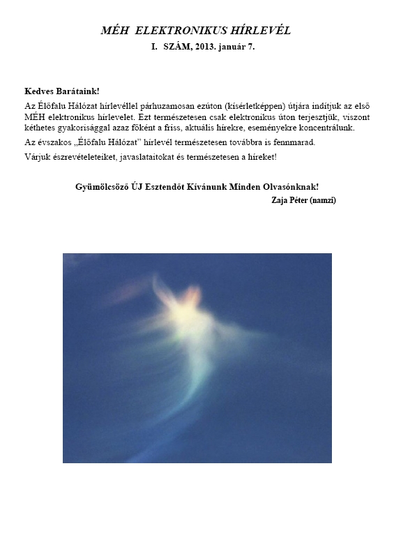 M�H e-h�rlev�l 2014.02.06.