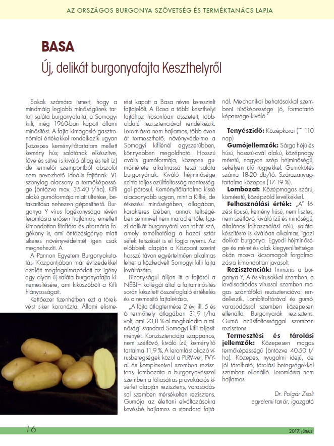 Burgonya vil�g 2017.11.13.
