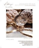 A h�l�zatos verzi� megnyit�sa Open the online version