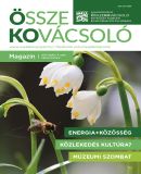 Az archiv�lt  verzi� megnyit�sa Open the archive version
