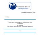 Az archiv�lt  verzi� megnyit�sa Open the archive version