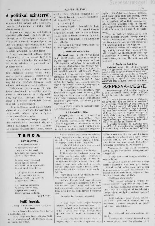 Szepesi ellen�r 2026.02.11.