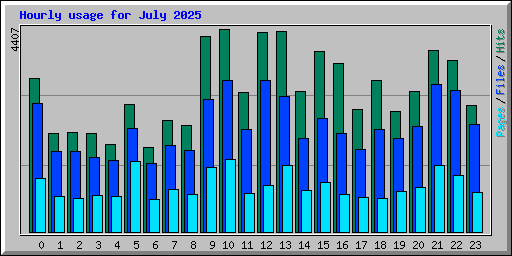 Hourly usage for July 2025