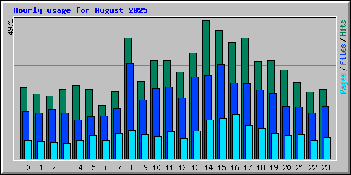 Hourly usage for August 2025