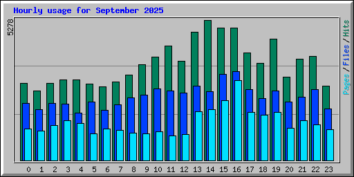 Hourly usage for September 2025