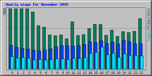 Hourly usage for November 2025