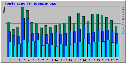 Hourly usage for December 2025