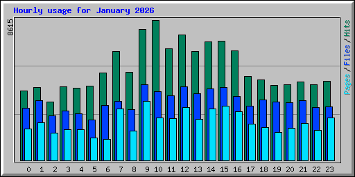 Hourly usage for January 2026