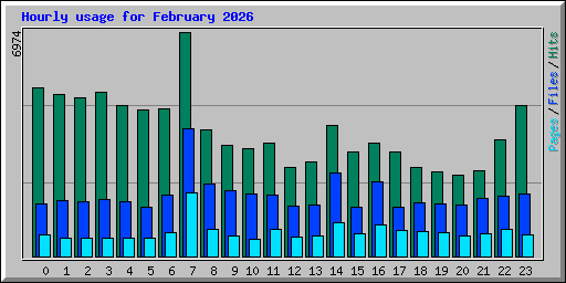 Hourly usage for February 2026