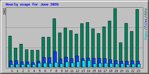 Hourly usage for June 2026